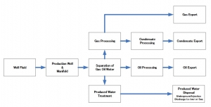 Plant Design Training